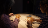 First Nations artist Sonya Rankin will share Traditional Knowledge of textiles through a weaving workshop as part of National Science Week.