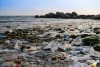 Plastic waste on a beach © Ake Ngiamsanguan, iStockphoto, Getty Images