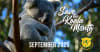 Save The Koala Month 2025