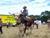 Mountain Cattlemen's Annual Get Together (G2G)