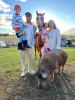 Clandulla Farm Stay in the Scenic Rim, where the animals are the best hosts ever! Photo: Clandulla 2025   