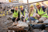 The BioShelters team during the installation process at Blackwattle Bay. From left: Prof. M. Hank Haeusler, Prof. Yannis Zavoleas, Mrs Charlotte Firth and Mr Louis Lamont. Photo: UNSW Sydney