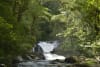 (Credit: Reservas Votorantim) Images of Legado das Águas - Atlantic Forest Reserve in Brazil