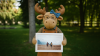 Happy Moose is a high quality photo print studio, serving customers online in New Zealand and abroad.