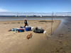 Monash University field work at St Kilda as part of a new study that found seaweed on sandy coastlines is a major contributor to greenhouse gas. Credit: Ning Hall, Monash University.