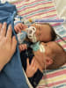 Newborn twins Callum and Sam were hospitalised for a combined 36 days with severe RSV before protection was available