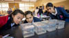 Schoolkids study zebrafish to learn about genetics







