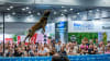 Leaping Dogs