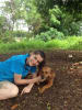 In 2013, Dr. Claire Clark met Red at Animals Fiji's Nadi Clinic. She adopted her, bringing her to Australia, where Red has since been by her side through marriage, three children, breast cancer recovery, and her ongoing veterinary work.