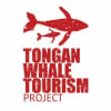 Tongan Whale Tourism