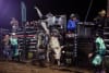 Willow Tree cowboy Clint Glass in sizzling form. Photo PBR Autralia