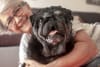 Helping Senior Dogs Thrive: Expert Advice for Health and Enrichment