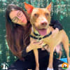 Second Chance Animal Resuce 