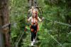 Illawarra Fly Treetop Adventure zipline course