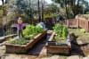 North Sydney Garden Competition Best Children's Garden