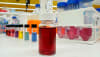 Bottles of the nanoparticle formula being used to develop Nexsen's kidney diagnostic tests.