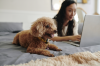 Dog and owner with laptop
