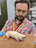 Dr Charles Feigin with a rare marsupial mole