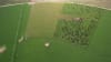 Overhead of a dairy divot in South Australia. Courtesy Joshua Zeunert.