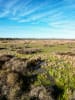 Landholders Cynthia Watt and Xavier Close on wetlands on their property. 