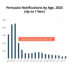 Pertussis Notifications by Age 2025