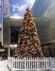 Willoughby City Council Christmas tree at The Concourse