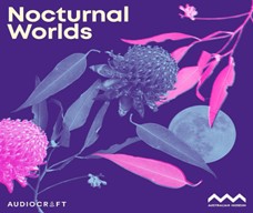 Nocturnal Podcasts by Audiocraft and Australian Museum