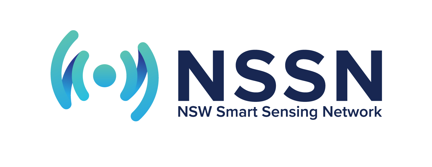 NSSN Logo